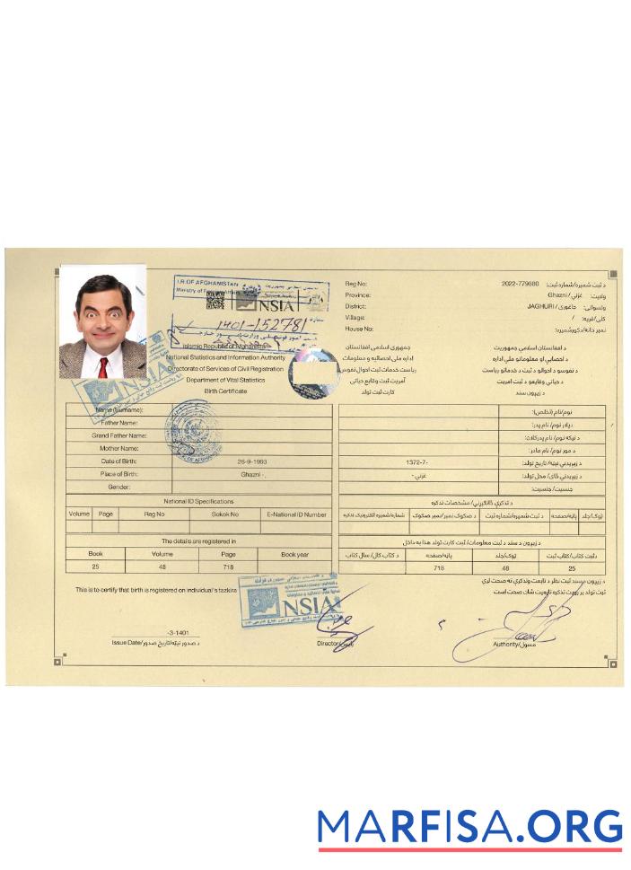 Realistic Afghanistan birth certificate template
